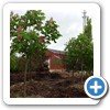 Our Nursery & Greenhouse